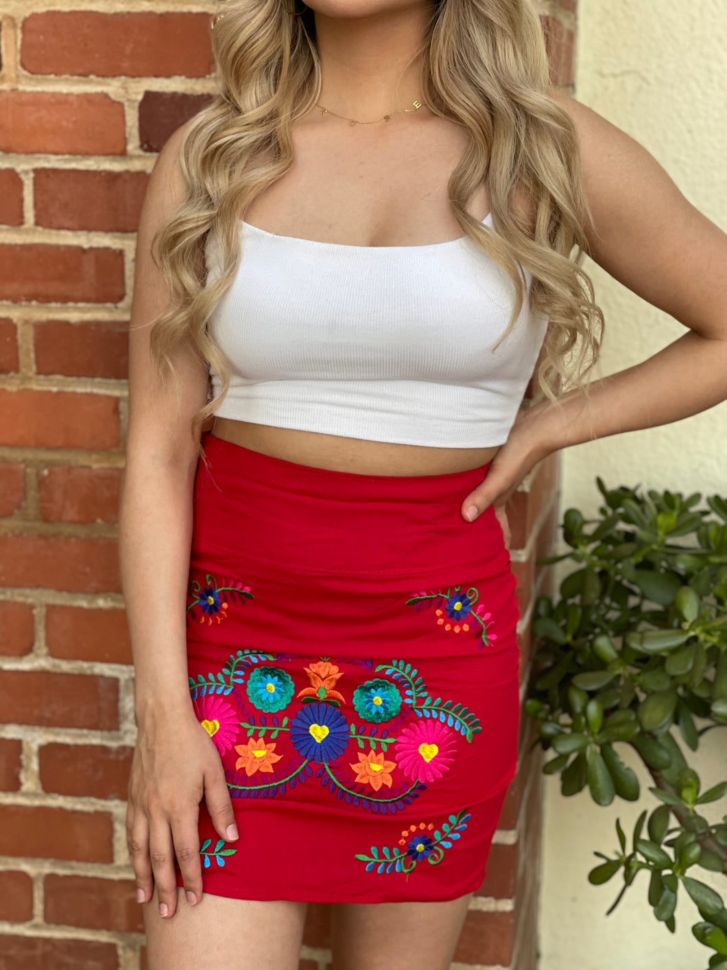 Rojo skirt